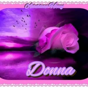 Meet your Posher, Donna